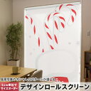 1cm単位サイズオーダー ロールスクリーン ロールカーテン オーダーメイド タチカワ 日本製 間仕切り カーテン 採光 非遮光 目隠し UVカット カーテンレー...