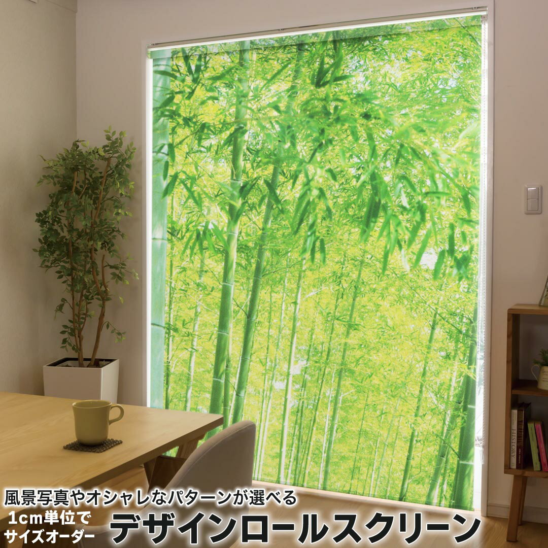 Rakuten - 1cm単位サイズオーダー ロールスクリーン ロールカーテン オーダーメイド タチカワ 日本製 間仕切り カーテン 採光 非遮光 目隠し UVカット カーテンレール チェーン式 プル式 010083 植物　竹林　写真
