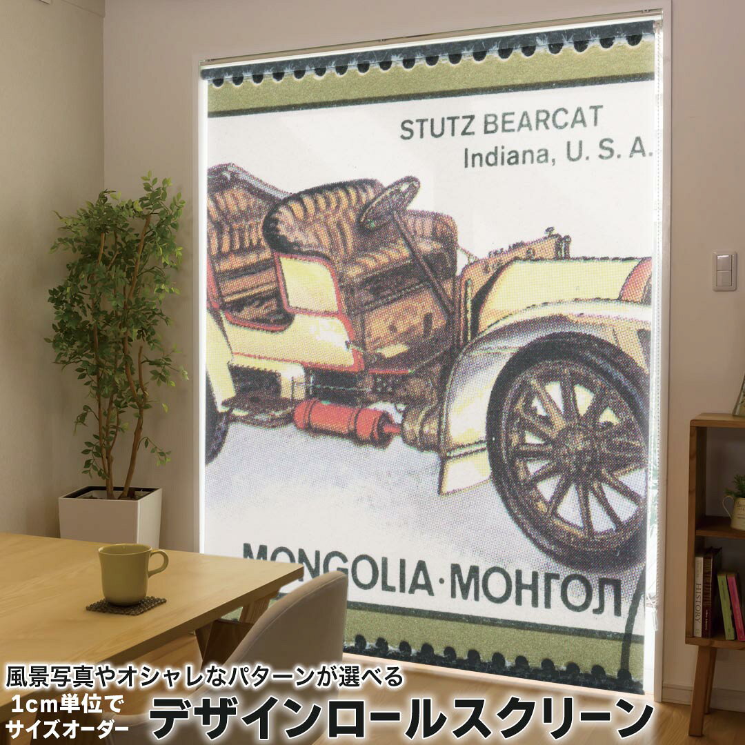 1cm単位サイズオーダー ロールスクリーン ロールカーテン オーダーメイド タチカワ 日本製 間仕切り カ..