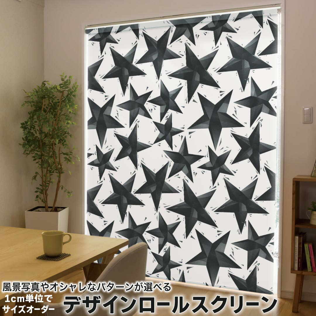 1cm単位サイズオーダー ロールスクリーン ロールカーテン オーダーメイド タチカワ 日本製 間仕切り カーテン 採光 非遮光 目隠し UVカット カーテンレール チェーン式 プル式 010512 星 白 黒