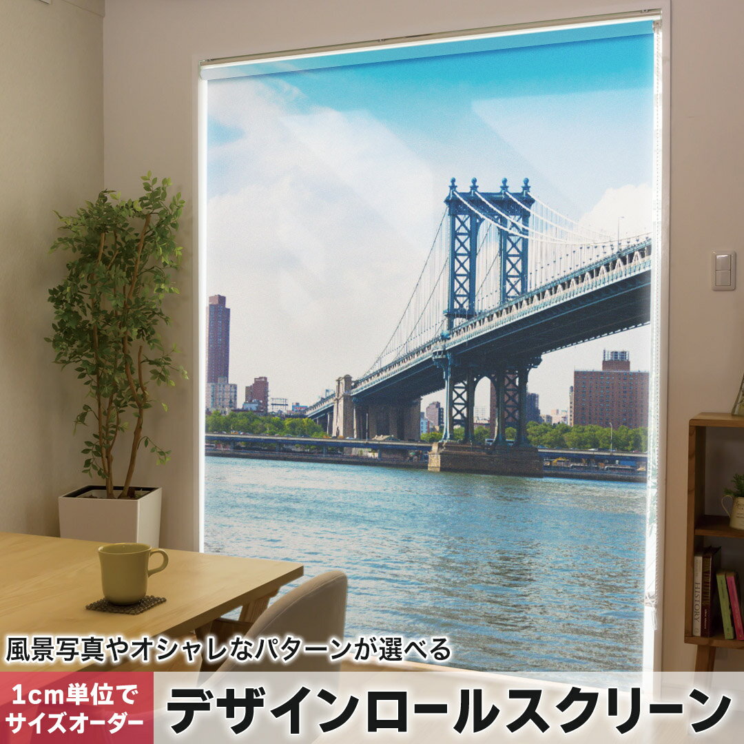 1cm単位サイズオーダー ロールスクリーン ロールカーテン オーダーメイド タチカワ 日本製 間仕切り カーテン 採光 非遮光 目隠し UVカット カーテンレール チェーン式 プル式 010804 外国 風景 写真