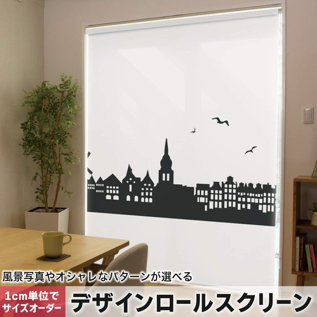 1cm単位サイズオーダー ロールスクリーン ロールカーテン オーダーメイド タチカワ 日本製 間仕切り カーテン 採光 非遮光 目隠し UVカット カーテンレール チェーン式 プル式 010976 風景　白　黒