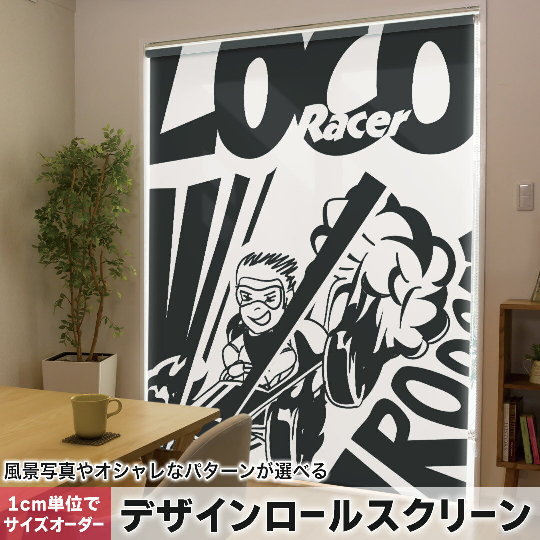 1cm単位サイズオーダー ロールスクリーン ロールカーテン オーダーメイド タチカワ 日本製 間仕切り カーテン 採光 非遮光 目隠し UVカット カーテンレール チェーン式 プル式 011082 レース 車 乗り物