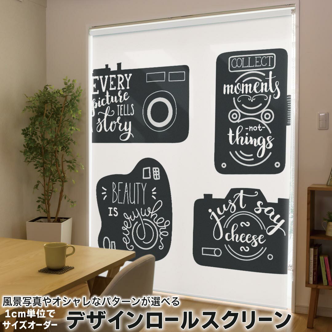 1cm単位サイズオーダー ロールスクリーン ロールカーテン オーダーメイド タチカワ 日本製 間仕切り カーテン 採光 非遮光 目隠し UVカット カーテンレール チェーン式 プル式 011102 カメラ 写真 英語