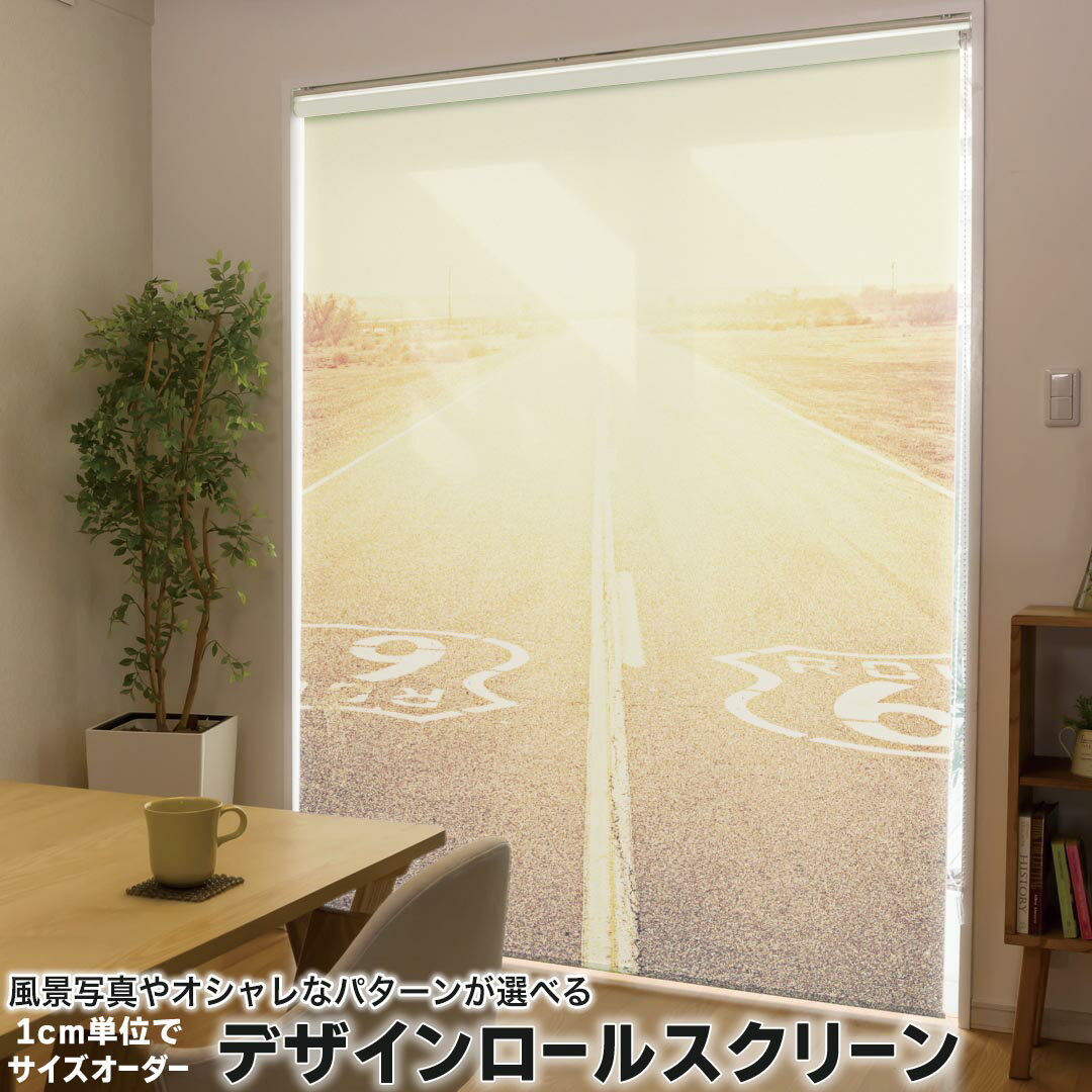 1cm単位サイズオーダー ロールスクリーン ロールカーテン オーダーメイド タチカワ 日本製 間仕切り カーテン 採光 非遮光 目隠し UVカット カーテンレール チェーン式 プル式 011322 外国　風景　写真