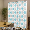 1cm単位サイズオーダー ロールスクリーン ロールカーテン オーダーメイド タチカワ 日本製 間仕切り カーテン 採光 非遮光 目隠し UVカット カーテンレー...