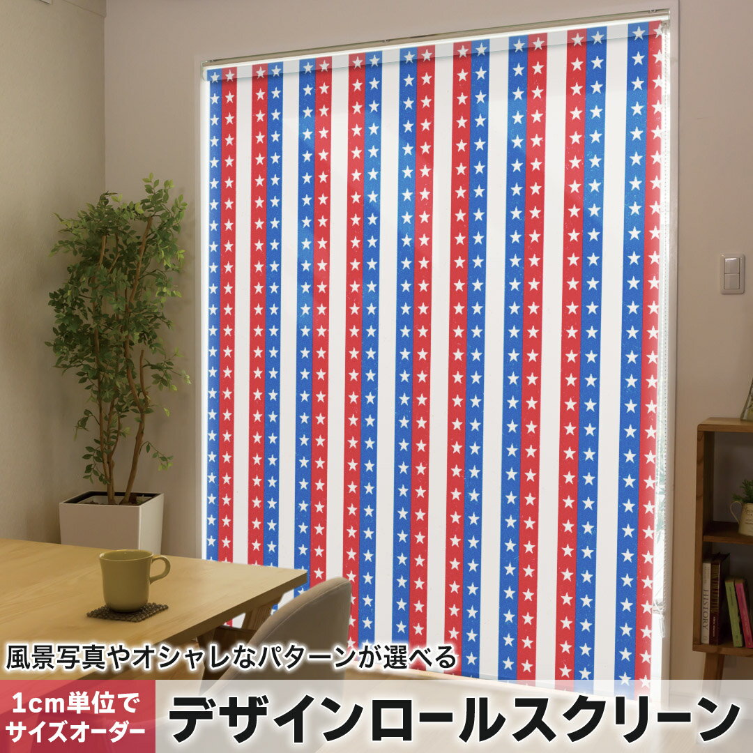 1cm単位サイズオーダー ロールスクリーン ロールカーテン オーダーメイド タチカワ...