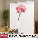 1cm単位サイズオーダー ロールスクリーン ロールカーテン オーダーメイド タチカワ 日本製 間仕切り カーテン 採光 非遮光 目隠し UVカット カーテンレー...