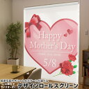 1cm単位サイズオーダー ロールスクリーン ロールカーテン オーダーメイド タチカワ 日本製 間仕切り カーテン 採光 非遮光 目隠し UVカット カーテンレー...