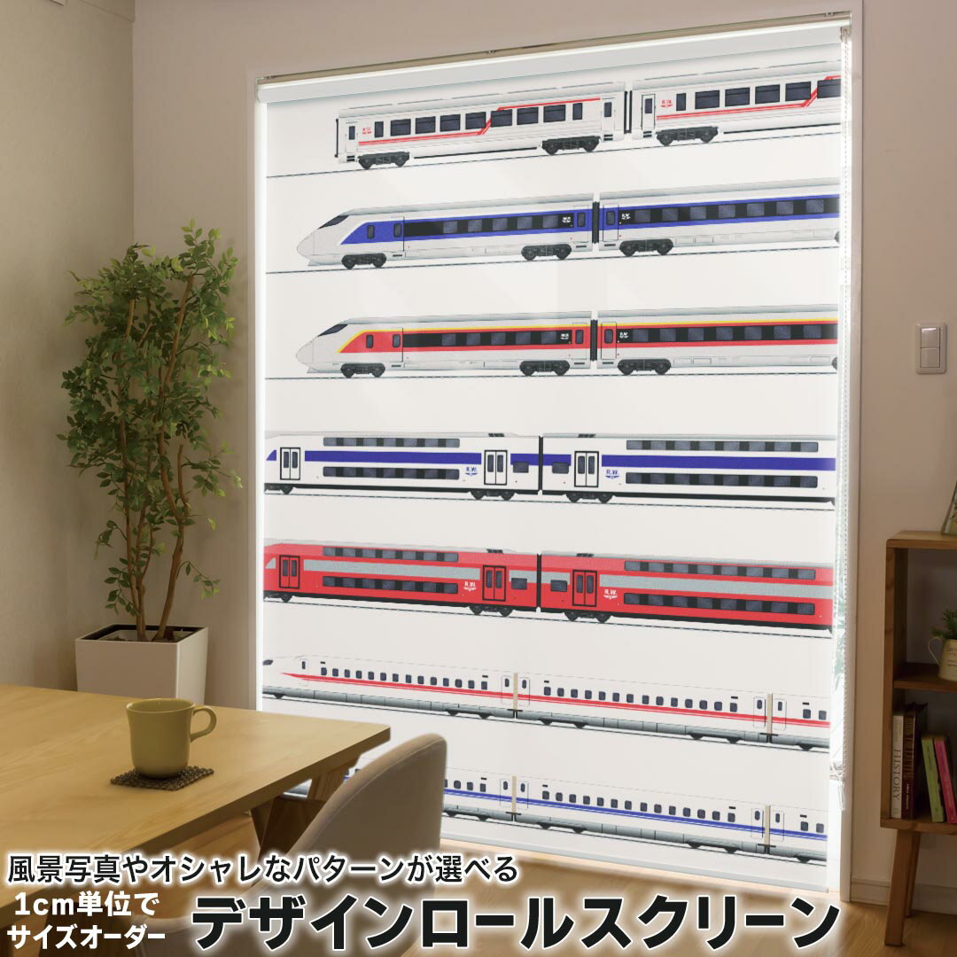 1cm単位サイズオーダー ロールスクリーン ロールカーテン オーダーメイド タチカワ 日本製 間仕切り カ..