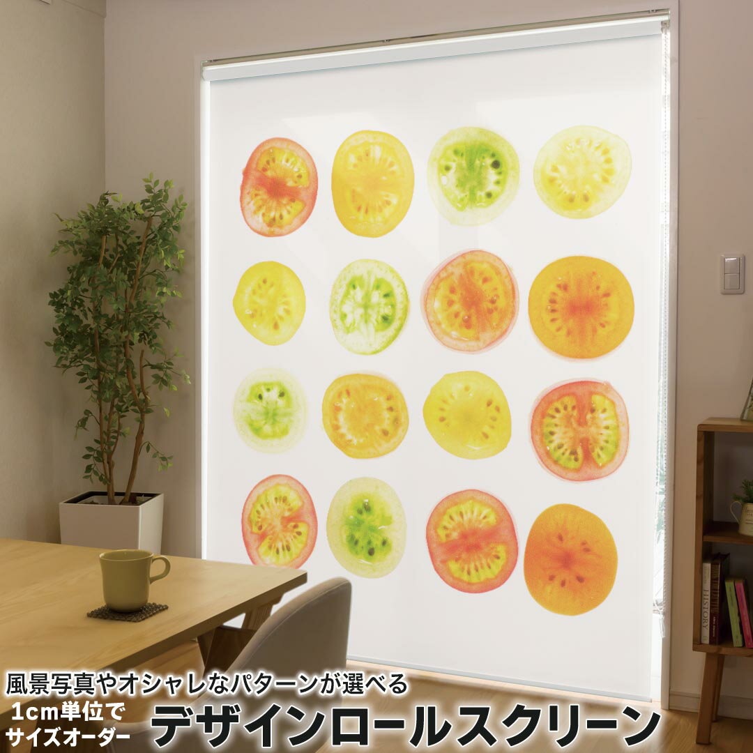 1cm単位サイズオーダー ロールスクリーン ロールカーテン オーダーメイド タチカワ 日本製 間仕切り カ..