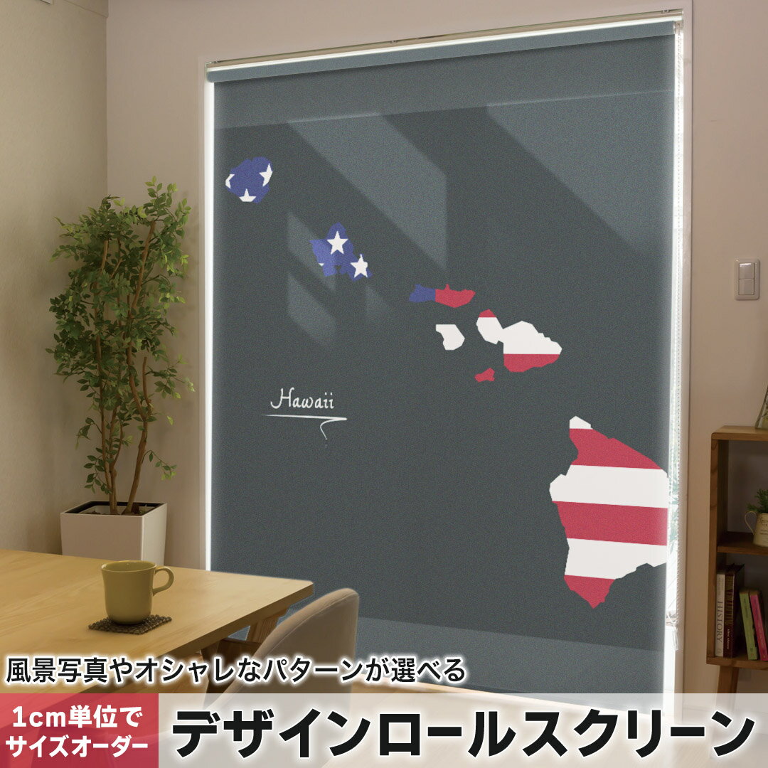 1cm単位サイズオーダー ロールスクリーン ロールカーテン オーダーメイド タチカワ 日本製 間仕切り カーテン 採光 非遮光 目隠し UVカット カーテンレール チェーン式 プル式 014363 地図　外国