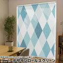 1cm単位サイズオーダー ロールスクリーン ロールカーテン オーダーメイド タチカワ 日本製 間仕切り カーテン 採光 非遮光 目隠し UVカット カーテンレー...