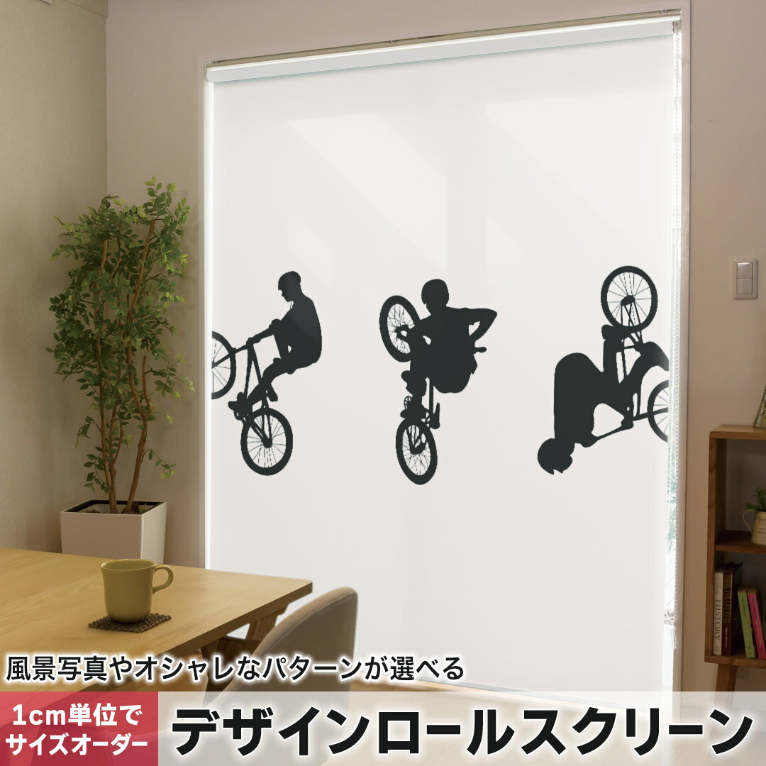 1cm単位サイズオーダー ロールスクリーン ロールカーテン オーダーメイド タチカワ 日本製 間仕切り カ..