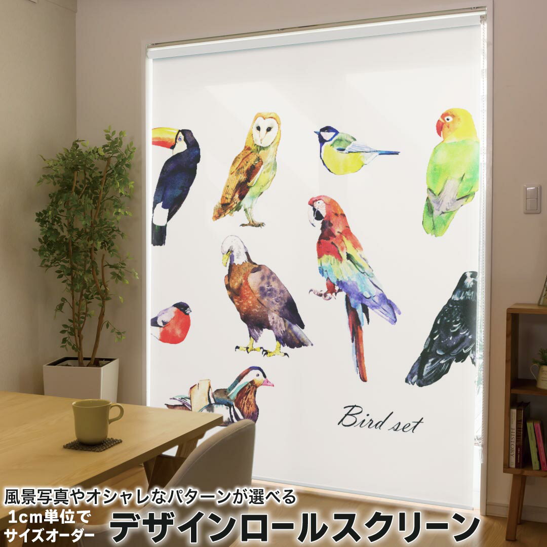 1cm単位サイズオーダー ロールスクリーン ロールカーテン オーダーメイド タチカワ 日本製 間仕切り カーテン 採光 非遮光 目隠し UVカット カーテンレール チェーン式 プル式 014764 鳥 カラフル bard
