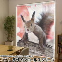 1cm単位サイズオーダー ロールスクリーン ロールカーテン オーダーメイド タチカワ 日本製 間仕切り カーテン 採光 非遮光 目隠し UVカット カーテンレール チェーン式 プル式 014830 冬 動物 リス 紅葉(3)