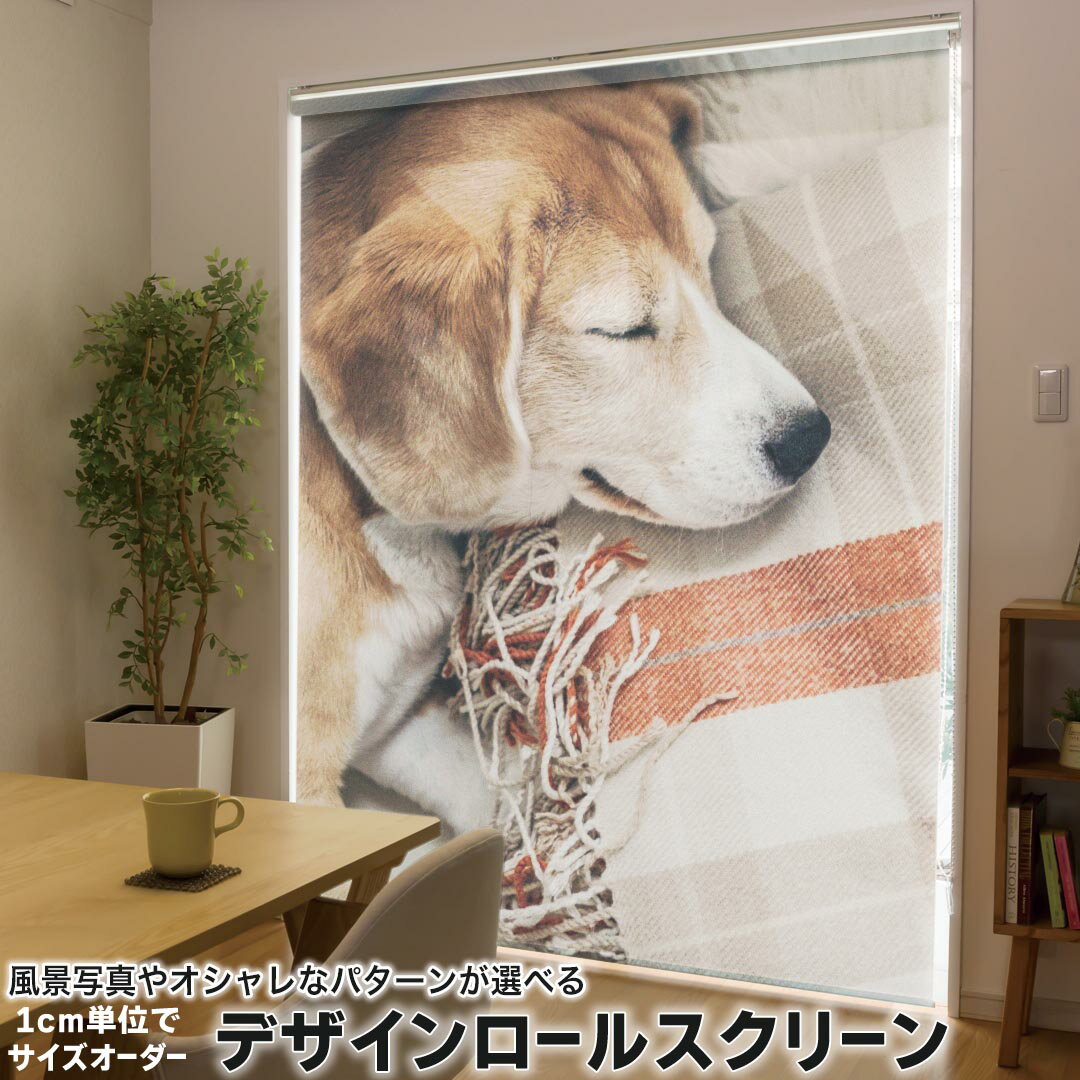 1cm単位サイズオーダー ロールスクリーン ロールカーテン オーダーメイド タチカワ 日本製 間仕切り カーテン 採光 非遮光 目隠し UVカット カーテンレール チェーン式 プル式 014838 犬 昼寝
