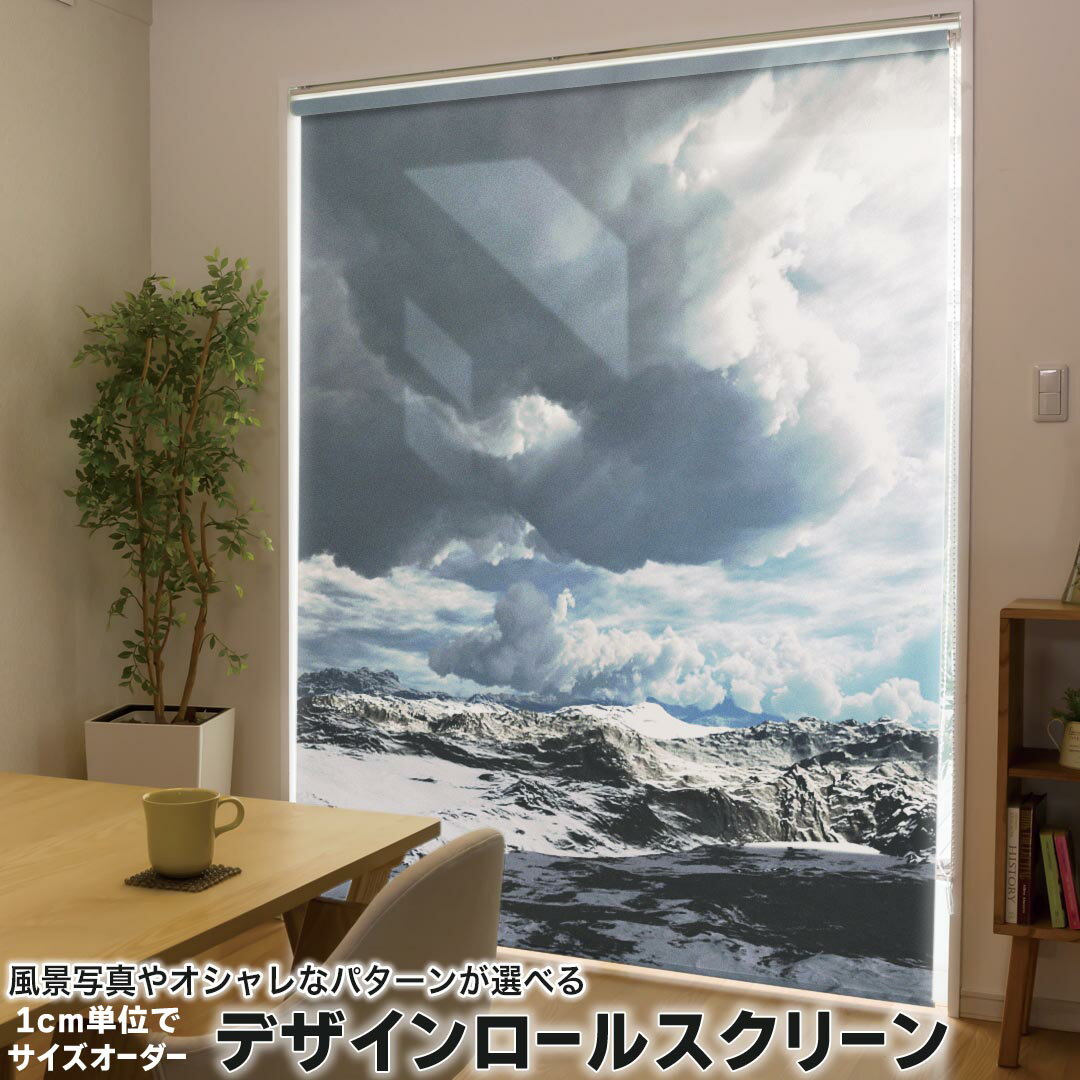 1cm単位サイズオーダー ロールスクリーン ロールカーテン オーダーメイド タチカワ 日本製 間仕切り カーテン 採光 非遮光 目隠し UVカット カーテンレール チェーン式 プル式 014982 自然 景色 風景 山 雪