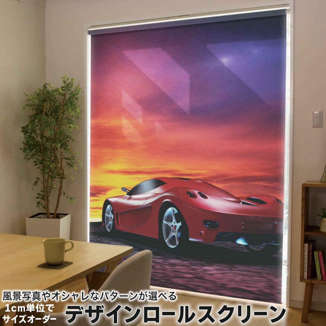 1cm単位サイズオーダー ロールスクリーン ロールカーテン オーダーメイド タチカワ 日本製 間仕切り カーテン 採光 非遮光 目隠し UVカット カーテンレール チェーン式 プル式 014992 景色 夜景 風景 写真 車