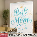 1cm単位サイズオーダー ロールスクリーン ロールカーテン オーダーメイド タチカワ 日本製 間仕切り カーテン 採光 非遮光 目隠し UVカット カーテンレー...