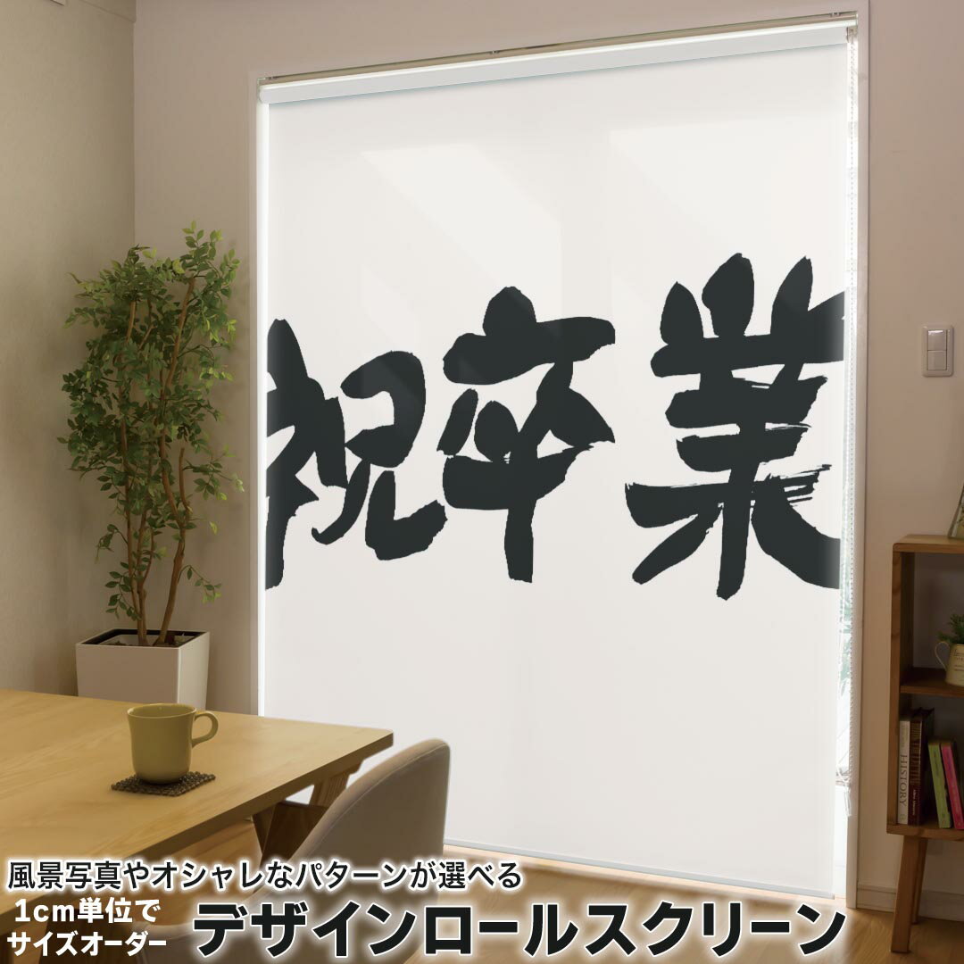 1cm単位サイズオーダー ロールスクリーン ロールカーテン オーダーメイド タチカワ 日本製 間仕切り カ..