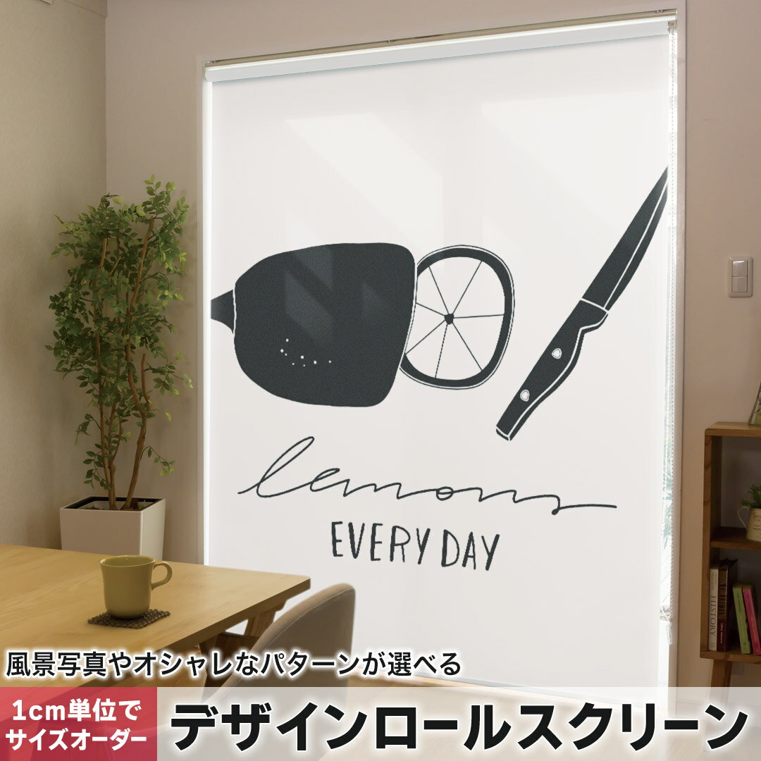 1cm単位サイズオーダー ロールスクリーン ロールカーテン オーダーメイド タチカワ 日本製 間仕切り カ..