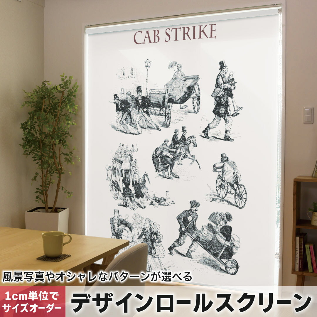 1cm単位サイズオーダー ロールスクリーン ロールカーテン オーダーメイド タチカワ 日本製 間仕切り カーテン 採光 非遮光 目隠し UVカット カーテンレール チェーン式 プル式 016302 外国　風景