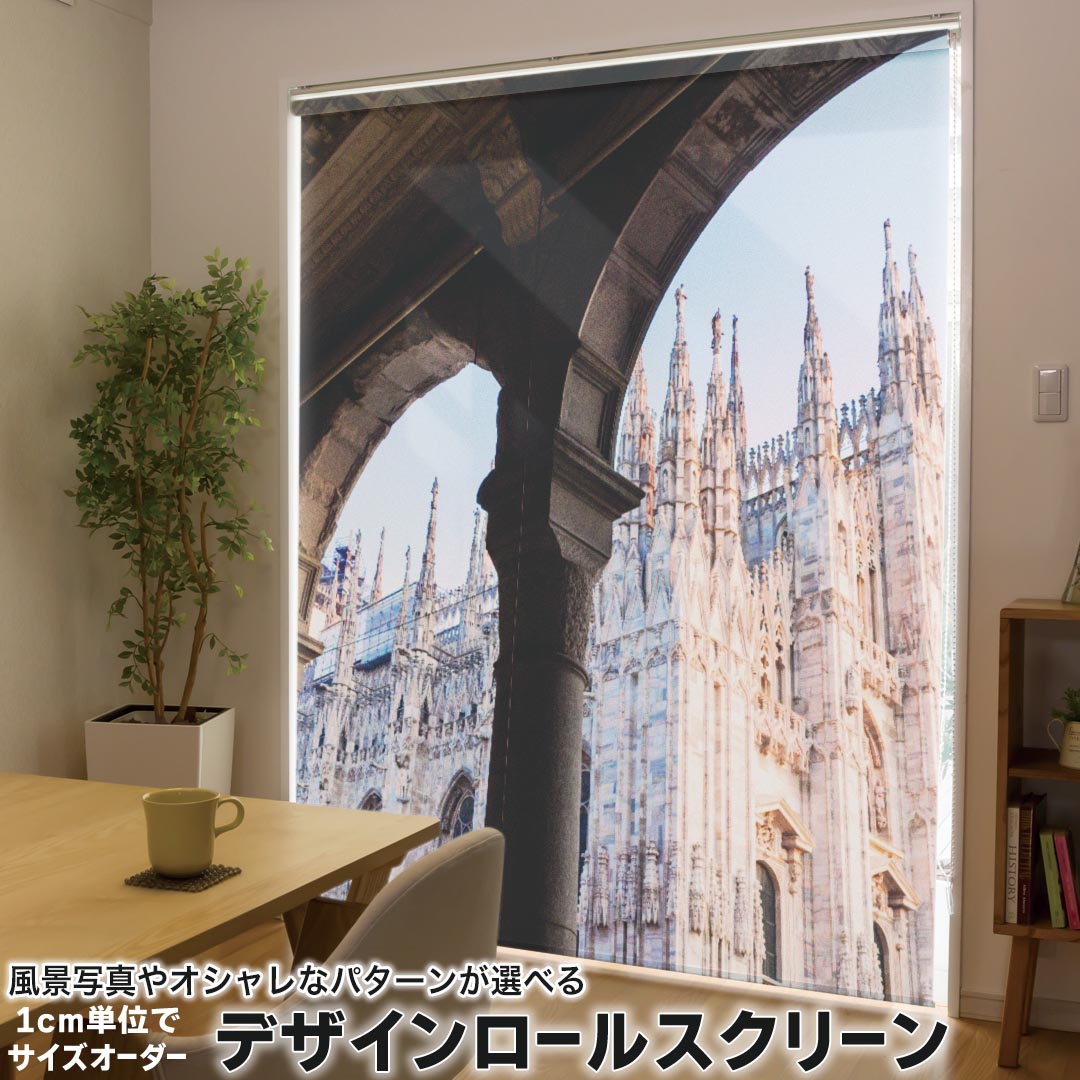 1cm単位サイズオーダー ロールスクリーン ロールカーテン オーダーメイド タチカワ 日本製 間仕切り カーテン 採光 非遮光 目隠し UVカット カーテンレール チェーン式 プル式 016398 風景　城