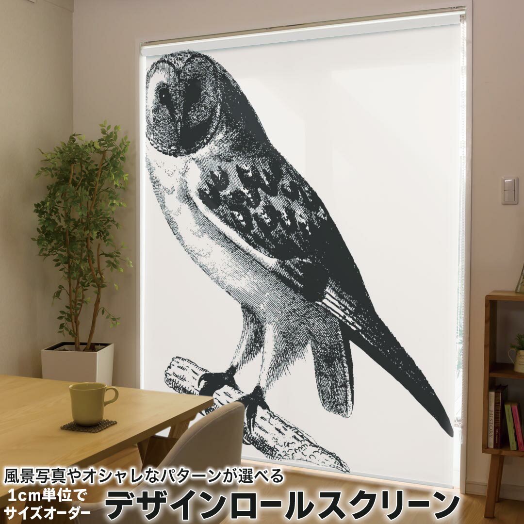 1cm単位サイズオーダー ロールスクリーン ロールカーテン オーダーメイド タチカワ 日本製 間仕切り カーテン 採光 非遮光 目隠し UVカット カーテンレール チェーン式 プル式 017479 ハロウィン ホラー リアル フクロウ 鳥