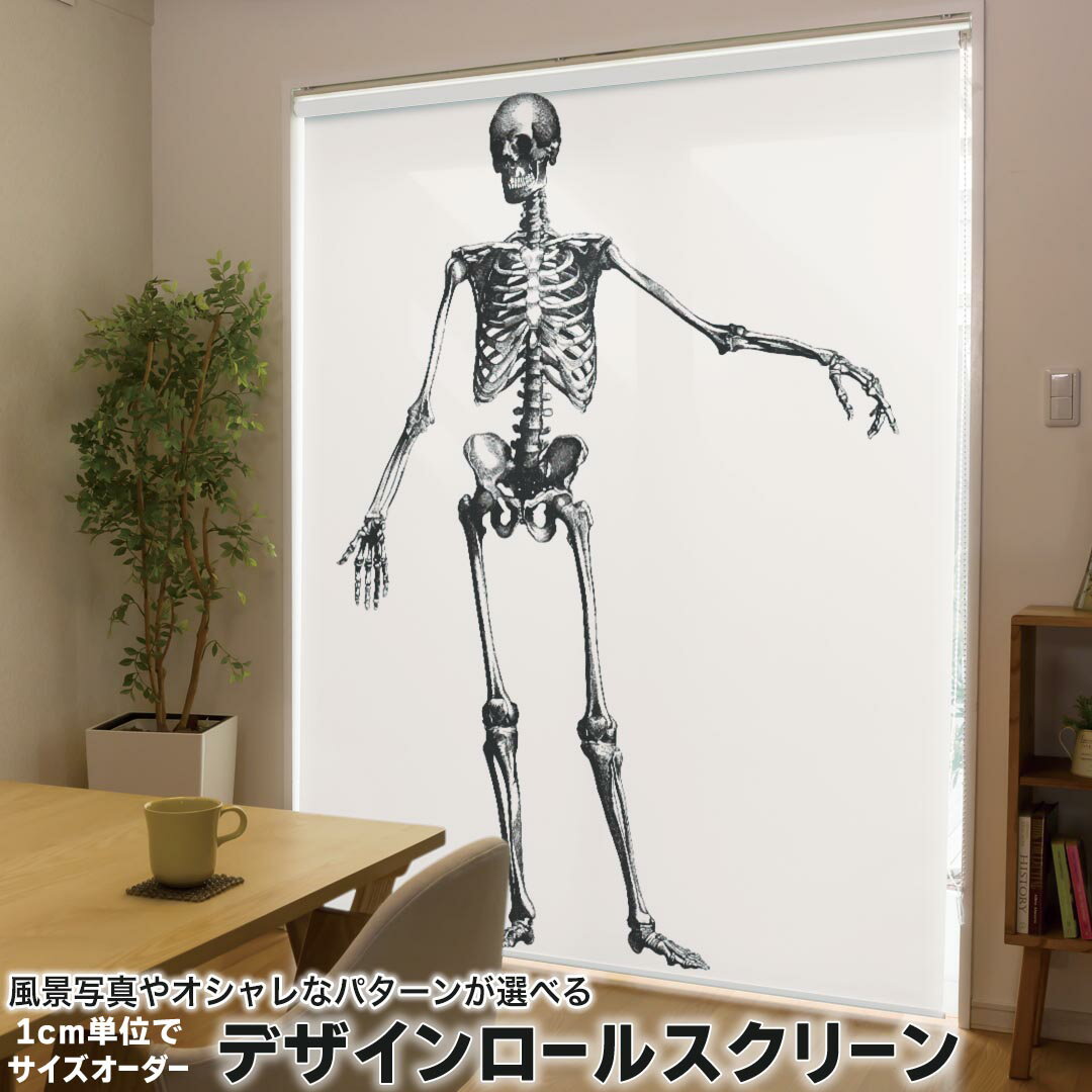 1cm単位サイズオーダー ロールスクリーン ロールカーテン オーダーメイド タチカワ 日本製 間仕切り カ..