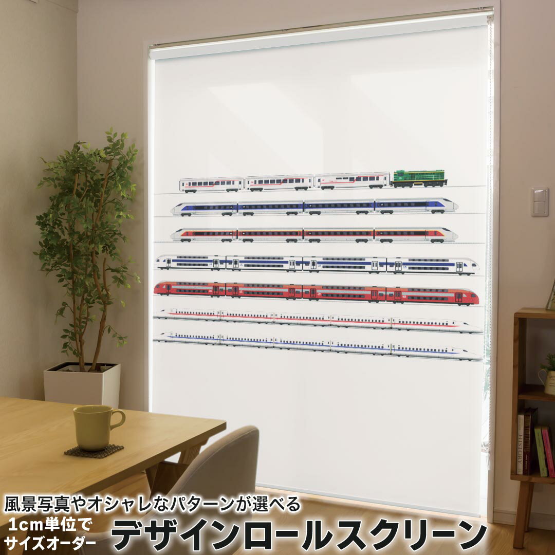 1cm単位サイズオーダー ロールスクリーン ロールカーテン オーダーメイド タチカワ 日本製 間仕切り カ..