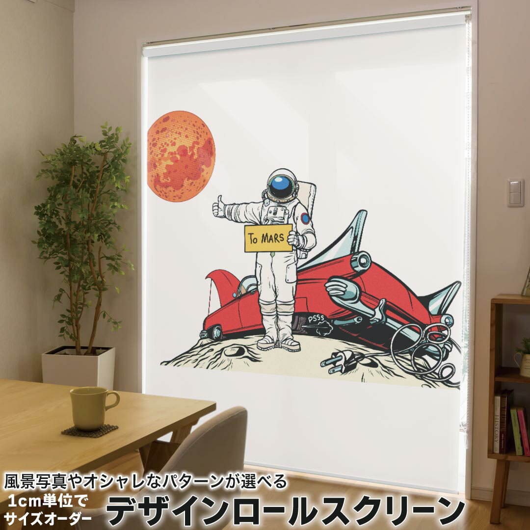 1cm単位サイズオーダー ロールスクリーン ロールカーテン オーダーメイド タチカワ 日本製 間仕切り カ..