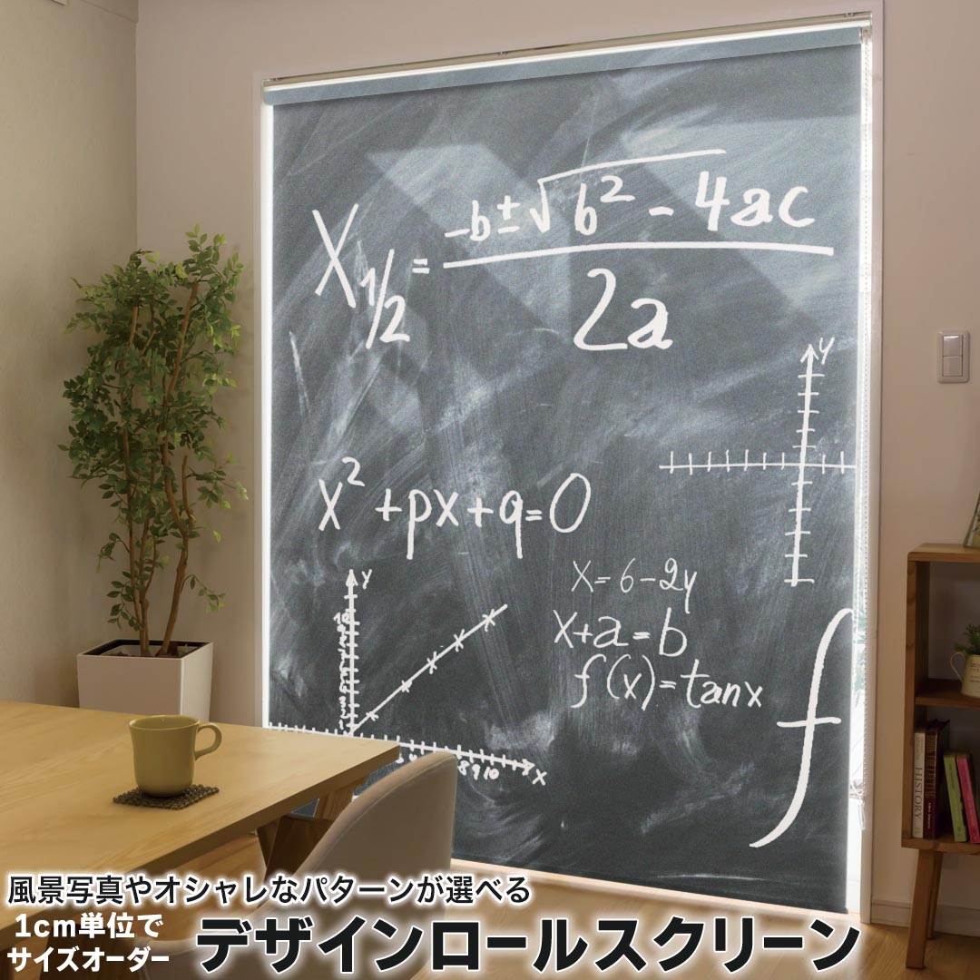 1cm単位サイズオーダー ロールスクリーン ロールカーテン オーダーメイド タチカワ 日本製 間仕切り カ..