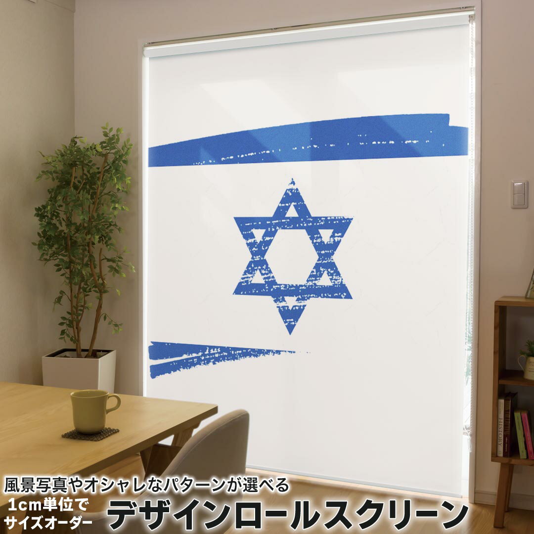 121 cm - 160 cm - 1cm単位サイズオーダー ロールスクリーン ロールカーテン オーダーメイド タチカワ 日本製 間仕切り カーテン 採光 非遮光 目隠し UVカット カーテンレール チェーン式 プル式 018475 国旗 israel イスラエル