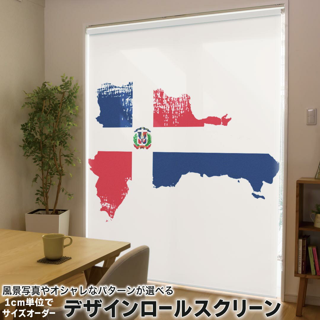 1cm単位サイズオーダー ロールスクリーン ロールカーテン オーダーメイド タチカワ 日本製 間仕切り カーテン 採光 非遮光 目隠し UVカット カーテンレール チェーン式 プル式 018814 国旗 domician_republic ドミティアヌス共和国