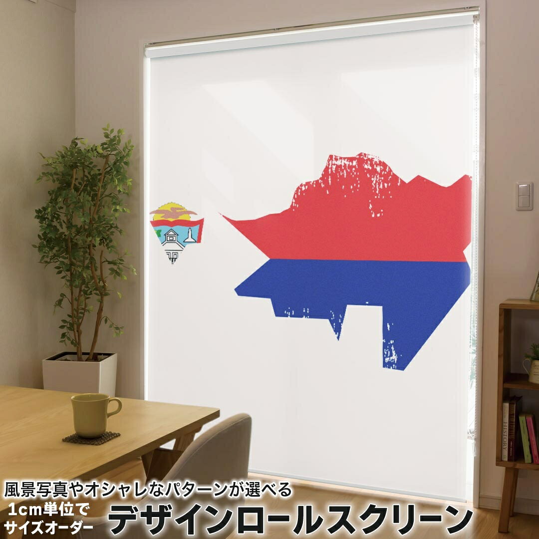 1cm単位サイズオーダー ロールスクリーン ロールカーテン オーダーメイド タチカワ 日本製 間仕切り カーテン 採光 非遮光 目隠し UVカット カーテンレール チェーン式 プル式 018934 国旗 saint_marten サンマルタン