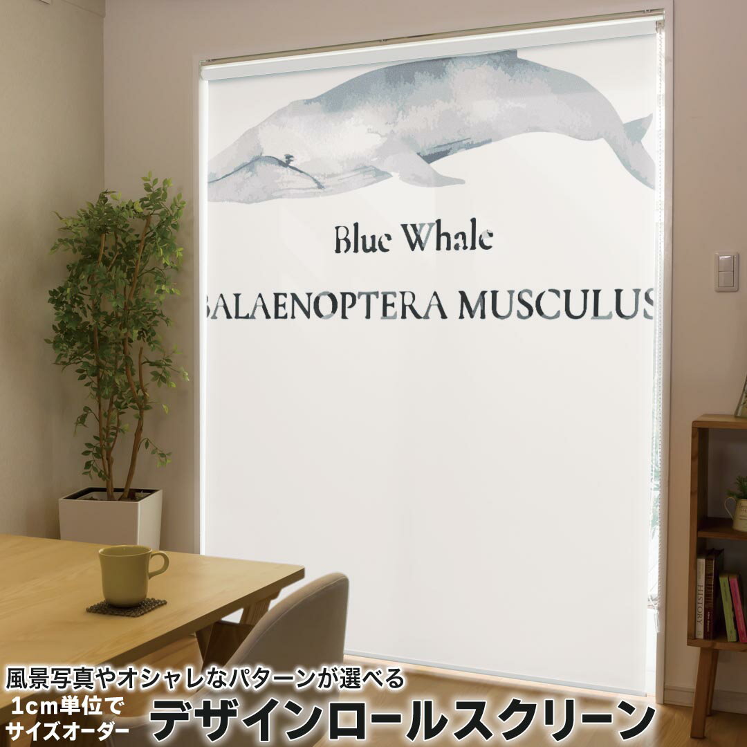 1cm単位サイズオーダー ロールスクリーン ロールカーテン オーダーメイド タチカワ 日本製 間仕切り カーテン 採光 非遮光 目隠し UVカット カーテンレール チェーン式 プル式 019741 デザイン 海の生物 シロナガスクジラ blue whale