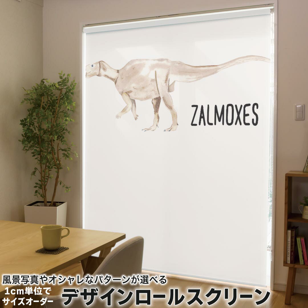 1cm単位サイズオーダー ロールスクリーン ロールカーテン オーダーメイド タチカワ 日本製 間仕切り カ..