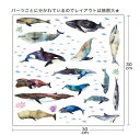 海の生物☆ シール式ウォールステッカー 魚 fish sea クジラ くじら イルカ いるか アクアリウム シャチ 飾り 30×30cm 剥がせる カッティングシート wall sticker 雑貨 016518 2