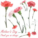 3sizeから選べる!母の日☆シール式ウォールステッカー mothers day カーネーション 花 プレゼント 190×427mm 390×877mm 590...