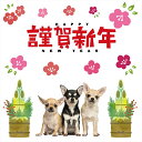 3sizeから選べる!お正月ウォールステッカー 飾り 門松 謹賀新年 数字 590×1327mm 390×877mm 190×427mm newyear 犬 ペット 花 015118(3)