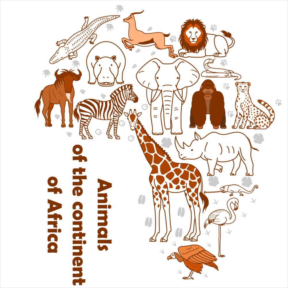 陸の生物☆シール式ウォールステッカー 動物 animal 鳥 きりん ぞう 犬 猫 飾り 60×60cm 剥がせる カッ..