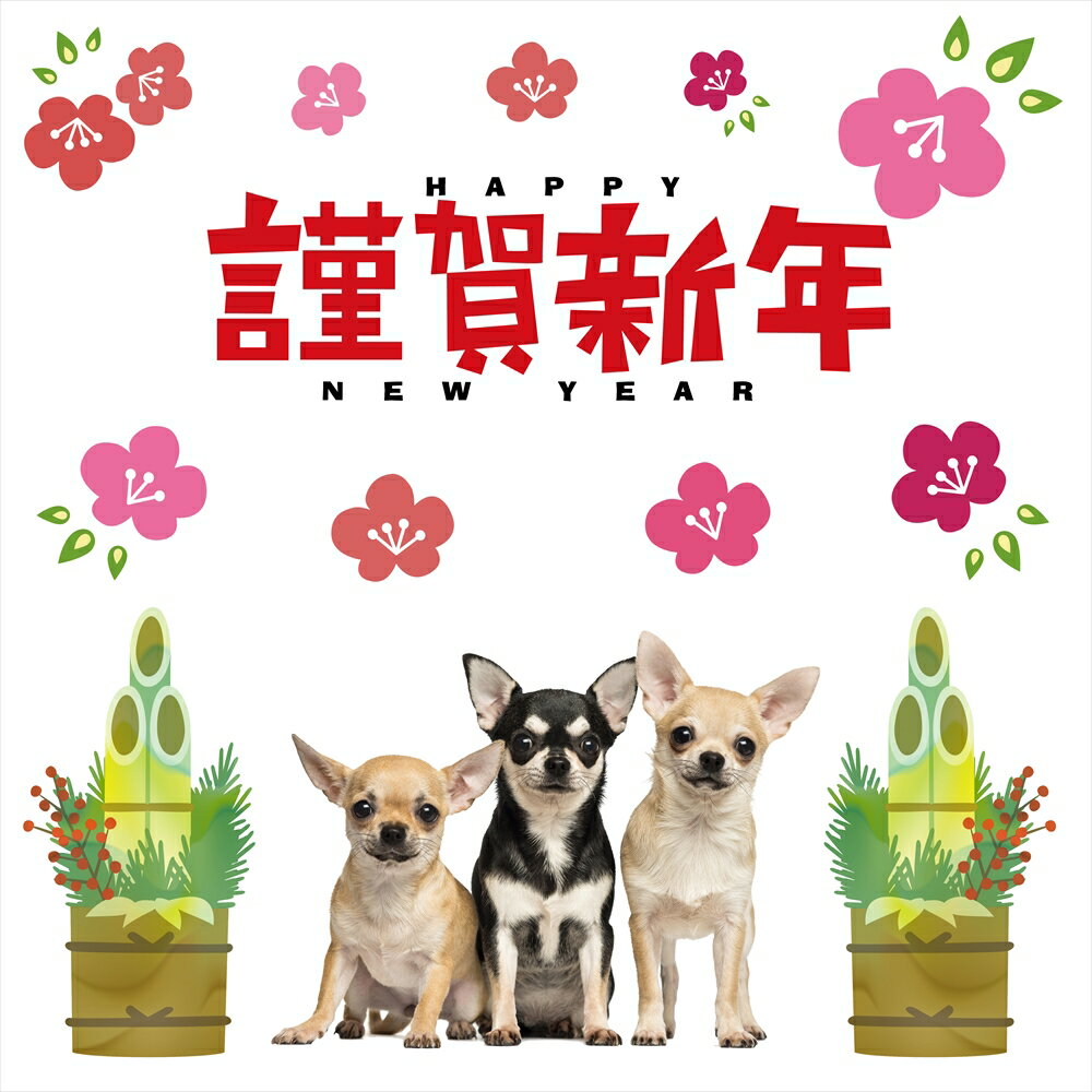 3size�������٤롪����������륹�ƥå��� ���� �羾 ��쿷ǯ ���� 590��1327mm 390��877mm 190��427mm newyear �� �ڥå� �� 015118