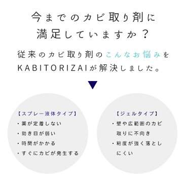 【ポイント5倍 7/31迄】(浴室 キッチン トイレ 水回り専用)450ml・詰替え1Lのセット KABITORIZAI(カビ取り剤)セットでお得!スプレー の手軽さで カビ取りジェル の効果!プロが作った 業務用 カビが生えにくくなる カビ取り剤