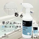 KABITORIZAI(カビ取り剤)セット b(浴室 キッチン 水回り専用) 強力 カビとり カビ取り剤ジェル カビ取り カビ取りジェル 業務用 おすすめ 風呂掃除 洗剤 カビ 床 排水溝 カビ取りスプレー カビ除去スプレー 天井 予防 かびとり カビ除去 特効