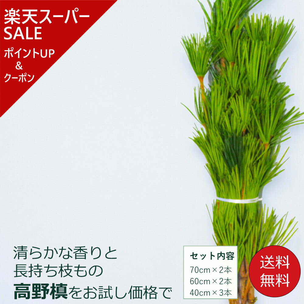 【楽天スーパーSALE ポイントアップ＆クーポン】高野槙 お試し 1セット7本 1セットから6セット 生花 切..