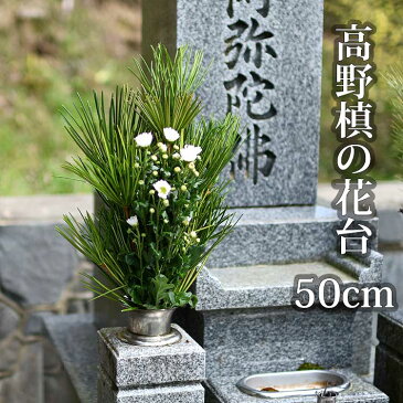 高野槙 の花台 束 50cm 生花 お供え用 K-4 仏花 墓花 生花 切花 切り花 配達 枝 枝もの 宅配 お供え物 お供え コウヤマキ 高野槙