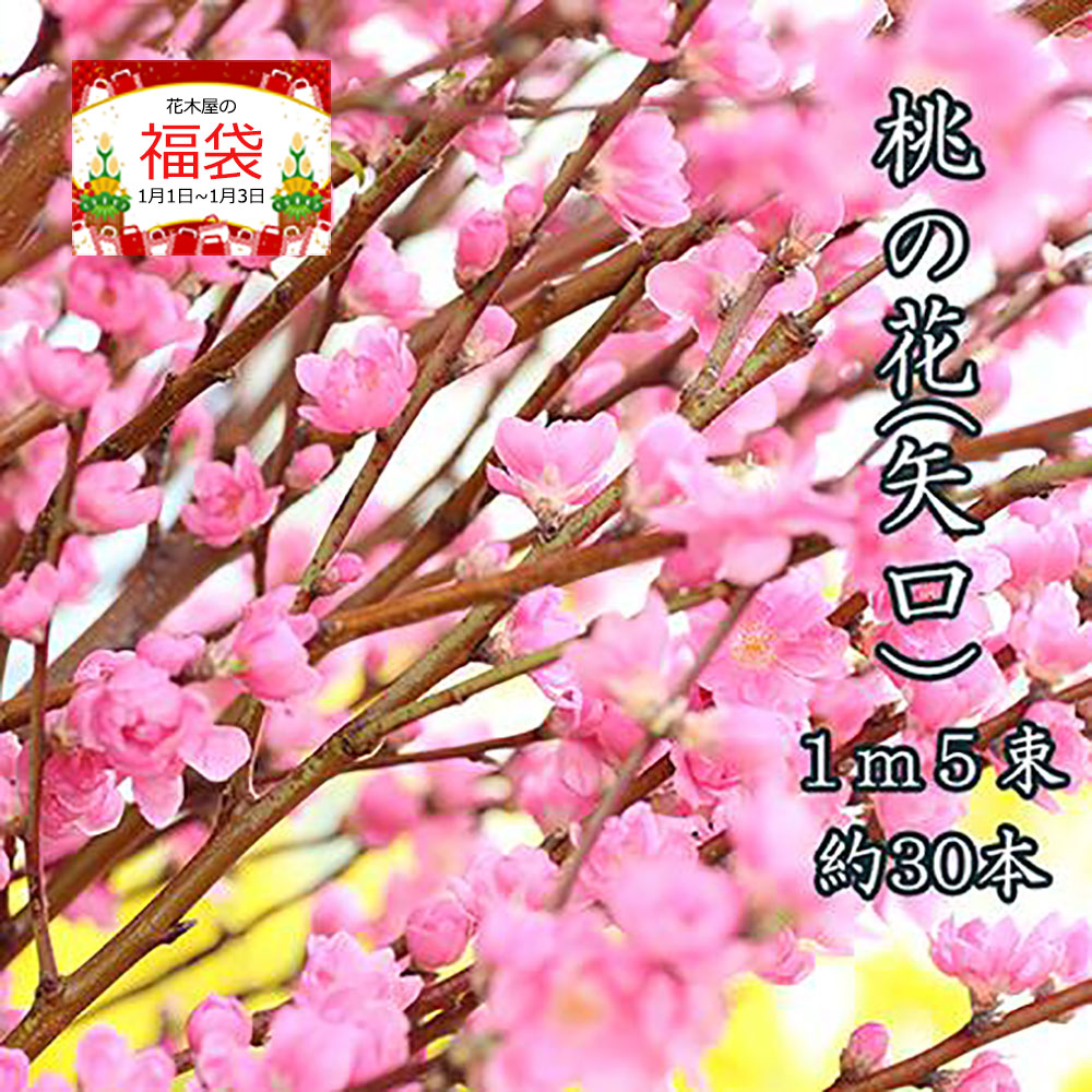 【限定15セット・1月31日以降のお届け】 福袋 2024 ひなまつり 桃の花 花桃 桃 1m 5把 約30本 ひな祭り 雛祭り 生け花 飾り 花 花材 旧節句