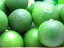 カボス かぼす かぼす青果 10kg 有機栽培品 (有機JAS規格認定農産物)　大分特産柑橘