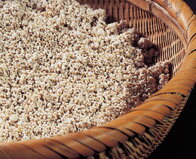 ��γ̣�� ��1kg